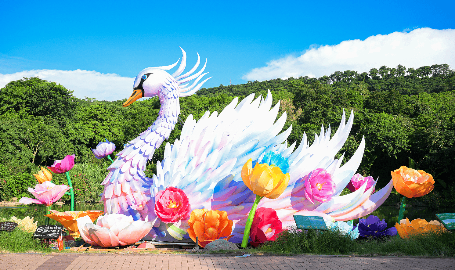 最新网红花与大自然的深情拥抱，追寻内心宁静与平和的旅程