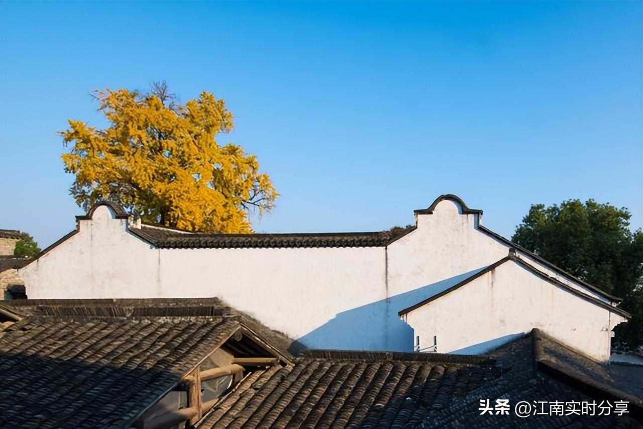 华为最新评测，小巷深处的科技明珠