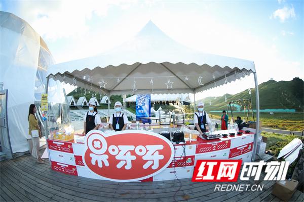 云顶之弈最新冷门玩法揭秘，科技重塑战略竞技，全新游戏盛宴体验