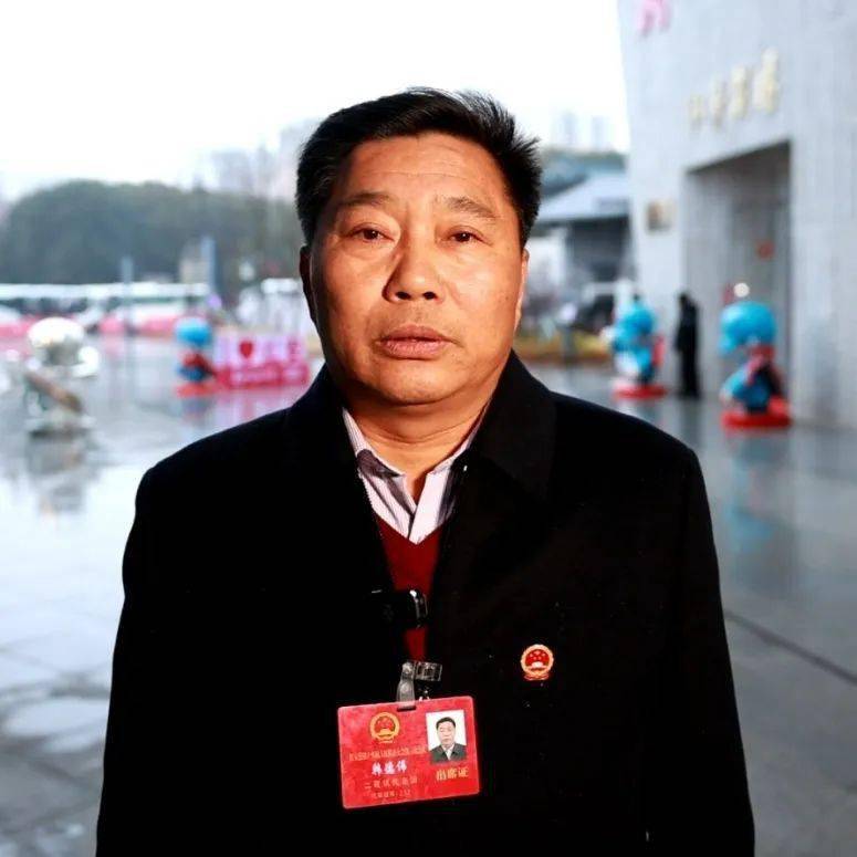 红安县徐少林最新工作安排安排及动向揭秘
