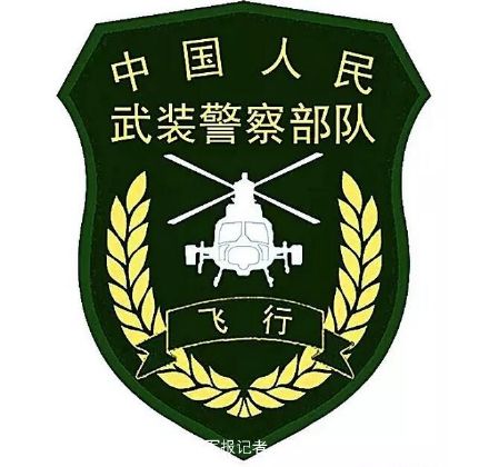 最新国安臂章，展现国家安全的荣耀标志