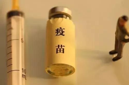 最新疼苗事件，背景、进展与影响概述