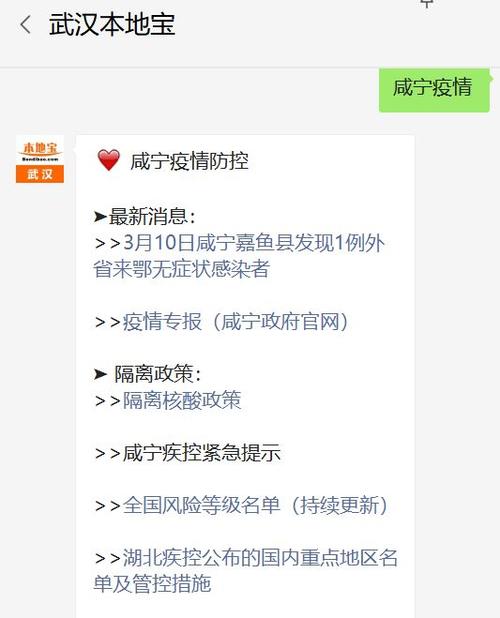 咸宁最新确诊步骤指南及疫情动态更新