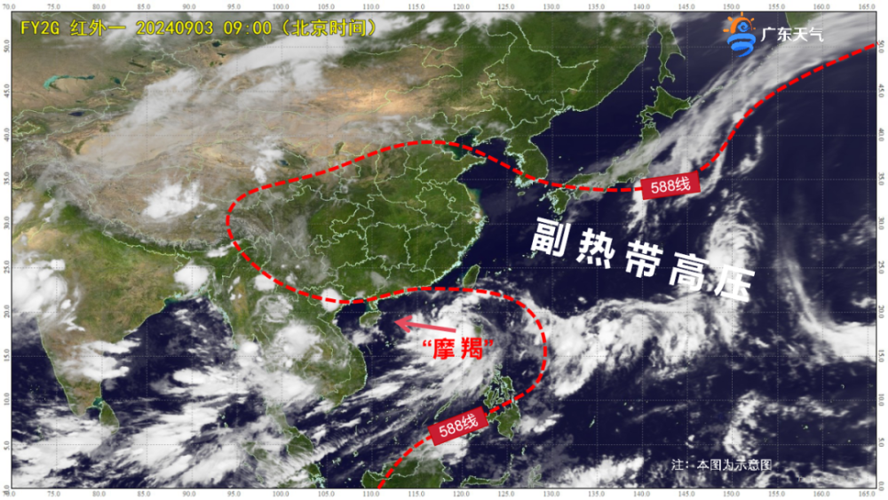 最新台风动态，多方观点分析与个人立场看法总结